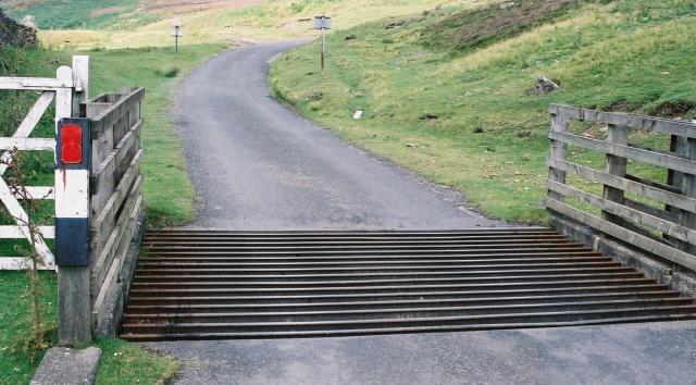 Cattle grid